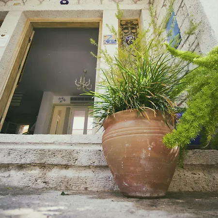 호텔 Alya Ruzgari 알라카티