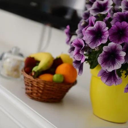 호텔 Alya Ruzgari 2*