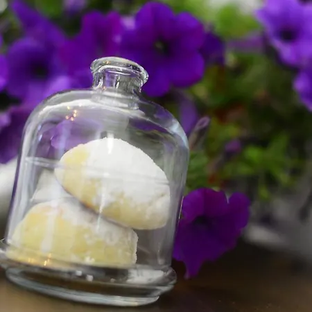 호텔 Alya Ruzgari 2*