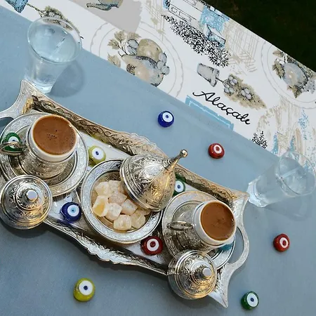 Отель Alya Ruzgari