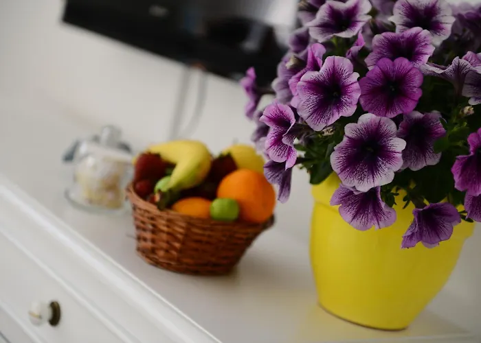 Otel Alya Ruzgari 2*